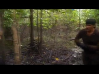 2 сезон 8 серия Джунгли Амазонки / Amazon Jungle Maze